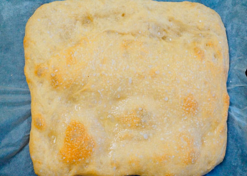 Пицца бьянка фото